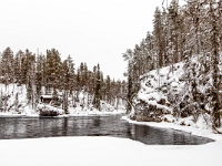 Park Narodowy Oulanka